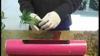 домашний дизайн www.FlowerBox.ru Ростов
