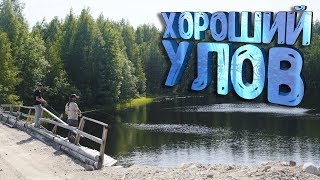 Много щук - Карелия 2019 часть #4 (ФИНАЛ)