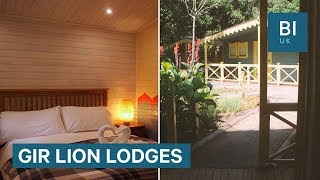London Zoo lets guests stay the night in lodges