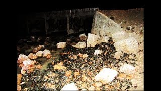 Раки вылазят на берег ночью на речке рыбалка на видео