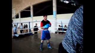tashir boxing
