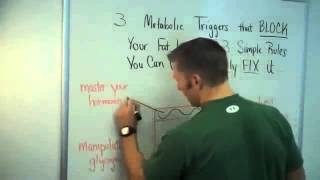 Watch 14 Day Rapid Fat Loss Plan Reviews - Shaun Hadsall's Meal Plans Download