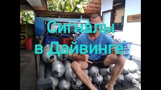 Сигналы в дайвинге