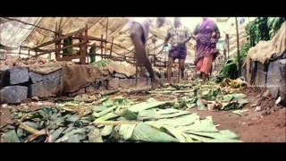 Aacharya - Vadivukarasi Expire