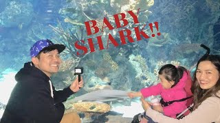 The Scientific Center Aquarium Part 2 | Baby Shark Song | Vlog 20