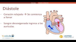 Sístole y Diástole