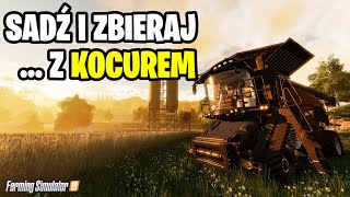 FARMING SYMULATOR 19 .. Z KOCUREM - PERMA SERWER STOI !!!