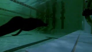 Учим разворот в моноласте