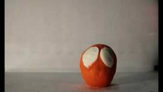 poldino stop motion