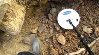Minelab GPX 4500 finds a Nugget