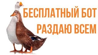Бесплатная стратегия и бот для бинарных опционов Утка-Гусь!