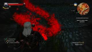 witcher3 Новиград Несвободный Новиград 2