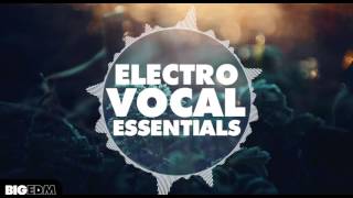 Big EDM - Electro Vocal Essentials [ 290+ Vocal Samples, Shouts, FX / Vocoder / Melbourne / Loops ]