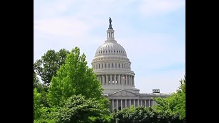 Американский политолог: Зеленский фактически контролируется украинским вариантом талибов