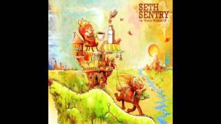 Seth Sentry - Strange Lot
