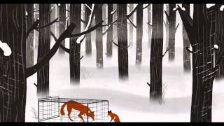 amnesty international voices for freedom 720p hd 76037