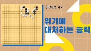 아꼭수 [47] 위기에 대처하는 능력