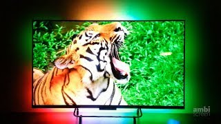AmbiScreen EYE & WiFiLED - RGB backlighting for every display - 4K HDR, Netflix, TV, games, ...