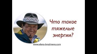 Как тяжелые энергии разрушают нас и наших животных