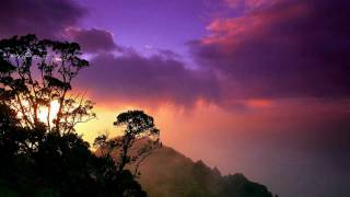Phoenix Music - Planet Earth