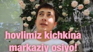 Hovlimiz kichkina markaziy osiyo!