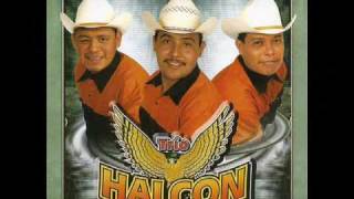 De Rodillas Te Pido - Trio Halcon Huasteco