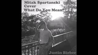 Justin Bieber - What Do You Mean (Mitak Spartanski Cover)