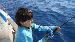 psarema junior tirikos jigging 29 -SYNAGRIDA 3,400 kg ---