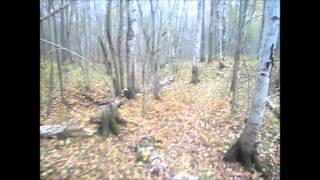 Одиночный поход, 20 км по осеннему лесу