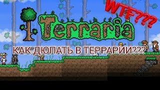 КАК ДЮПАТЬ ВЕЩИ В ТЕРРАРИЯ /ГДЕ ВЗЯТЬ МНОГО ДЕНЕГ