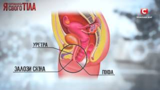 Что такое простата и симптомы ее заболевания?-Я соромлюсь свого тіла-Выпуск 1