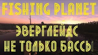 FISHING PLANET / Еверглейдс - не только БАССы / Отдыхаем и общаемся /
