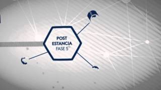 Customer Journey Spring Hoteles