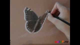 Рисование бабочки угольным карандашом