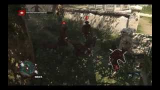 Assassin's Creed IV Black Flag (nvidia geforce gtx 650 ti boost)