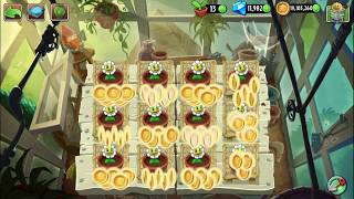 Plants vs. Zombies 2 - Zen Garden Marigold Glitch