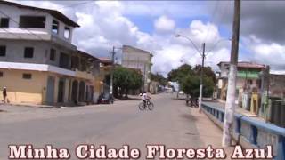 Floresta azul fim de ano parte 1