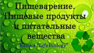 Пищеварение. Пищевые продукты и питательные вещества