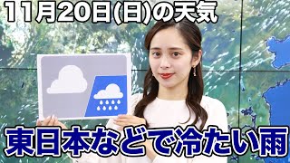 お天気キャスター解説　11月20日(日)の天気