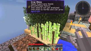 Bee Happy 2 Y las abejas? Aquí están! Minecraft en español