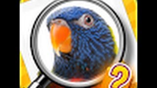Zoom Quiz - Level's 1-100 Answers