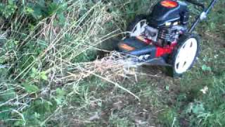 string mower / strimmer
