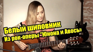 Белый шиповник - из рок-оперы "Юнона и Авось" | На гитаре + разбор