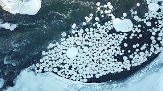 Морозные узоры: ледяные блины и цветы