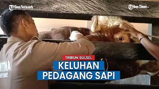 Pedagang Sapi Lintas Provinsi Keluhkan Mahalnya Biaya Surat Pengiriman Sapi Keluar Daerah