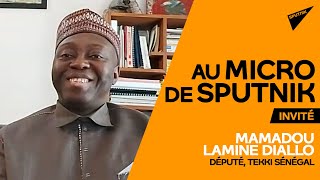 « Le respect de deux mandats est un impératif démocratique en Afrique », selon Mamadou Lamine Diallo