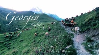 VLOG| ГРУЗИЯ. КАЗБЕГИ. ГОРЫ И КОРОВЫ.