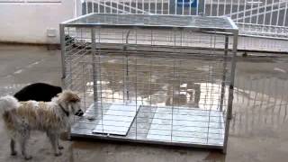 JAULA TRAMPA PARA ANIMALES. IDEAL PARA PROTECTORAS