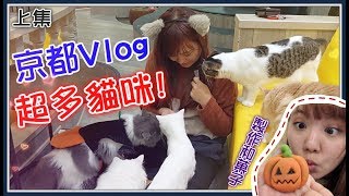 【魚乾】和菓子！貓咪！爬山...京都Vlog！(上集)