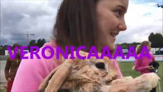 SOLVALLA - Tävligsvlogg